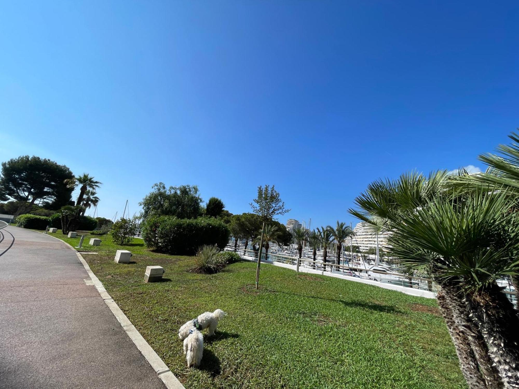 Studio A 2 Pas De La Plage Villeneuve-Loubet Exteriér fotografie